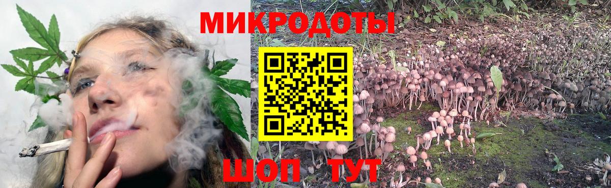 Галлюциногенные грибы Psilocybe  Вход с VPN  Мценск 